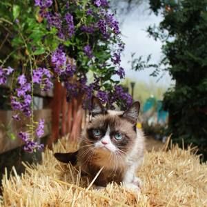 Meet your Posher, Michele